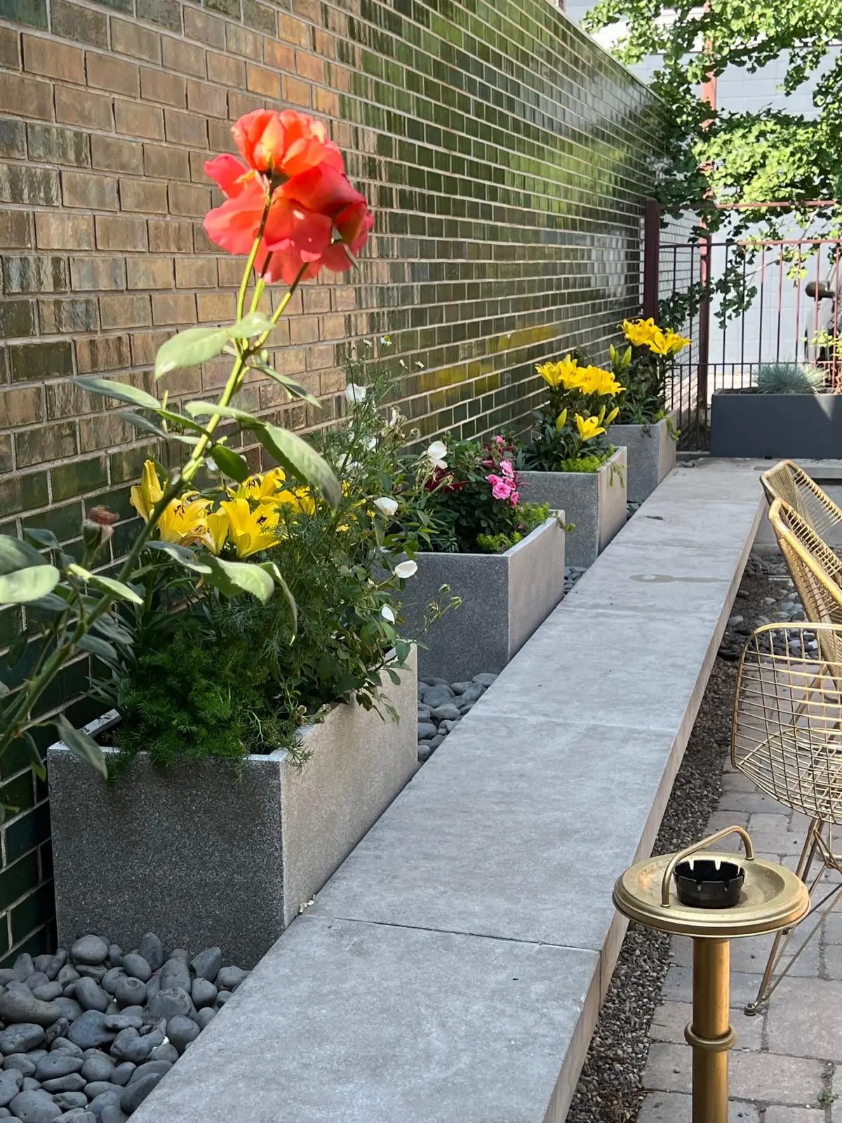 Outdoor courtyard with glazed brick wall, planters of roses and lilies, and wire chairs